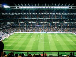 Sports Venue